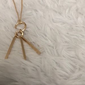 Francesca’s Necklace